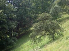 Lucy _004